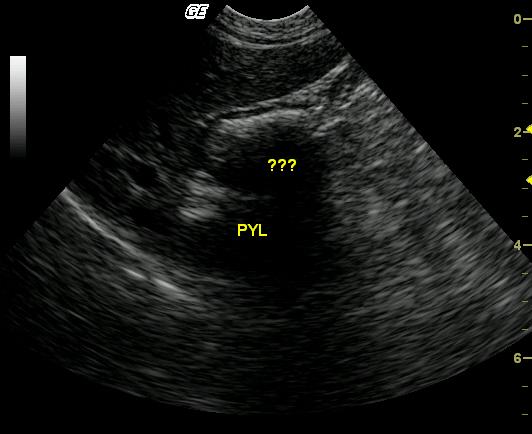 Samantha_1_12302009062713