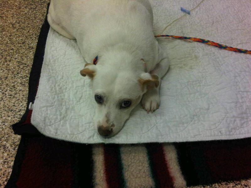 IMG00035-20100116-1304_10072010091454