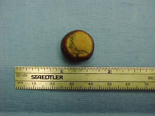 Bijoulosassofelintacornfb2_06042011014400