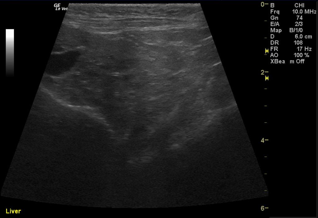 COM_1201_01_09032012011511