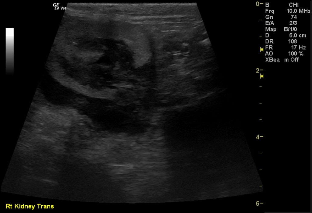 COM_1201_03_09032012011539