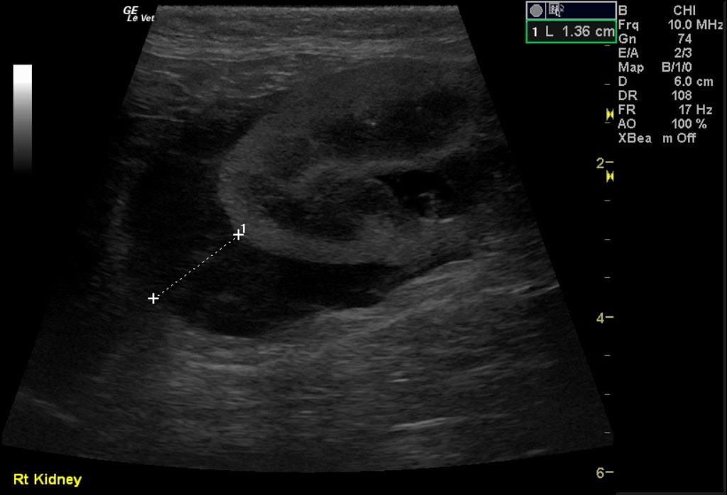 COM_1201_04_09032012011557