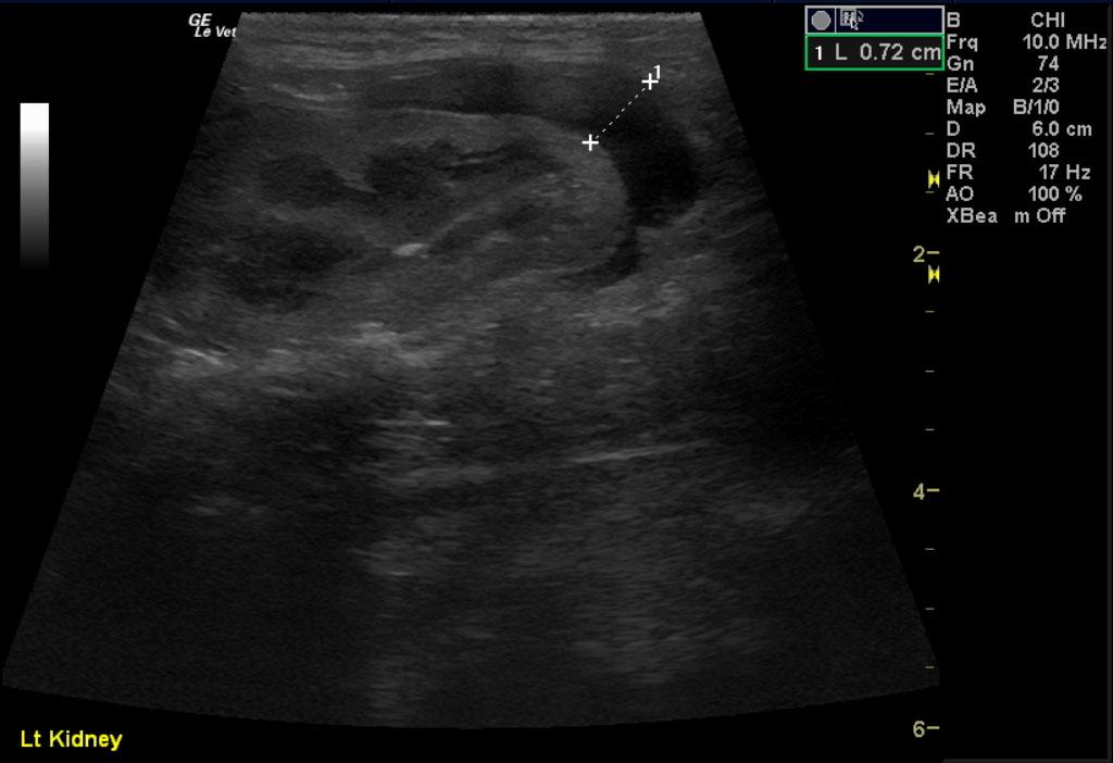 COM_1201_05_09032012011616