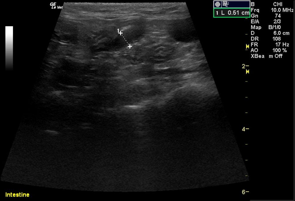 COM_1201_11_09032012011705