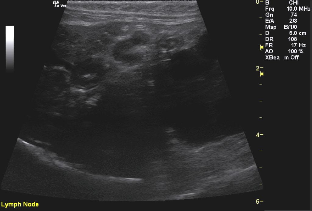 COM_1201_13_09032012011729