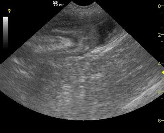 vlcsnap-2012-09-03-15h12m05s66_09032012041911