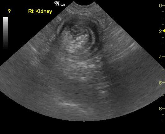 vlcsnap-2012-09-03-15h12m36s76_09032012041926