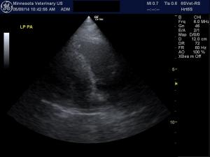 Why can’t I see the cardiac mass on left sided views?