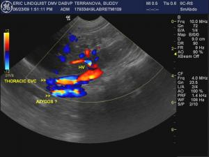 SonoPath Scanning & Clinical Pathology Seminar Feb 19-22, 2015 Puerto Rico- Drs & Vet Techs