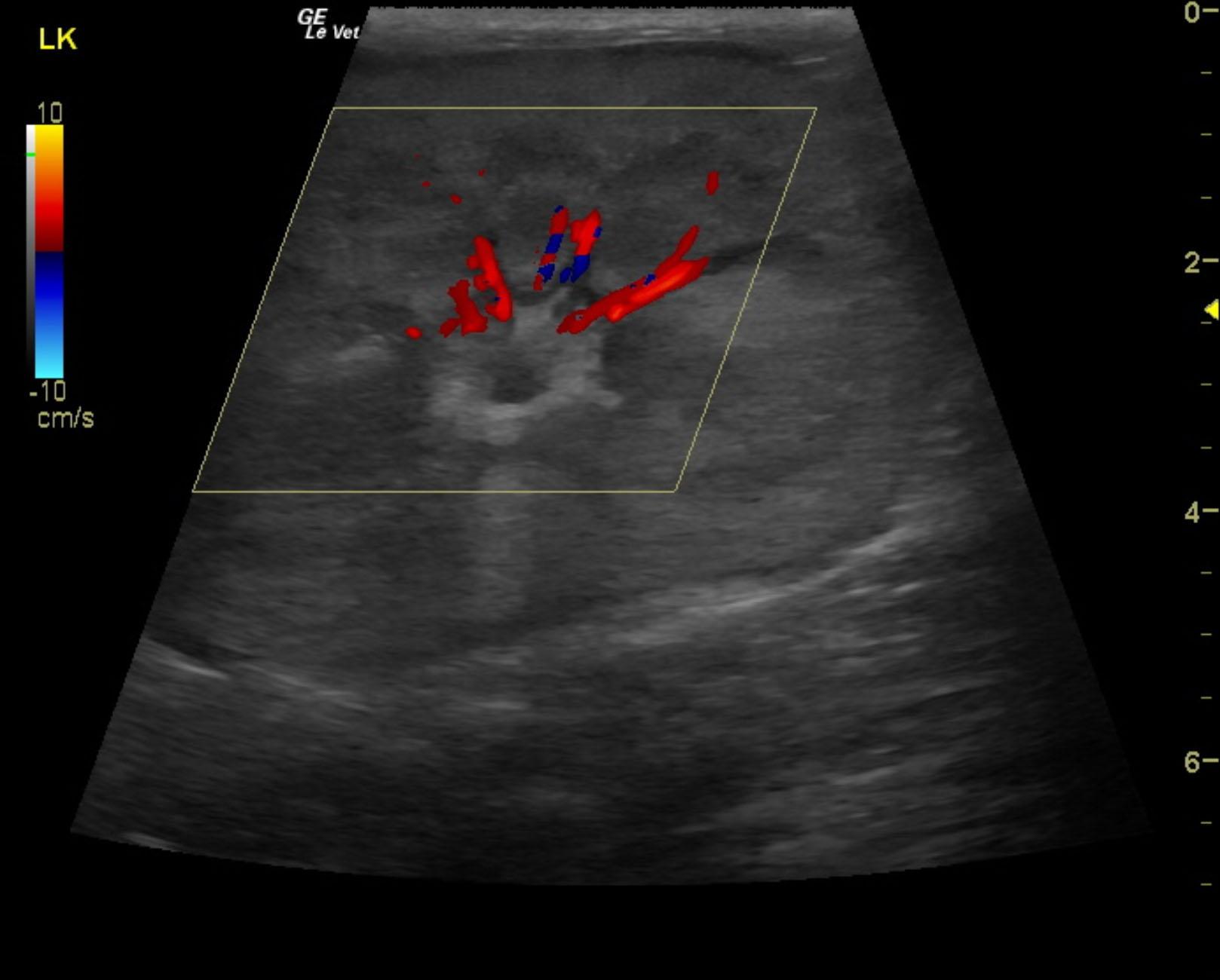 radenhausen_whiskas_renal_intestinal_lsa_
