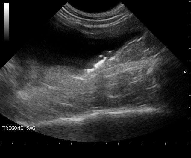 jack_thomson_20150505101031_1012460