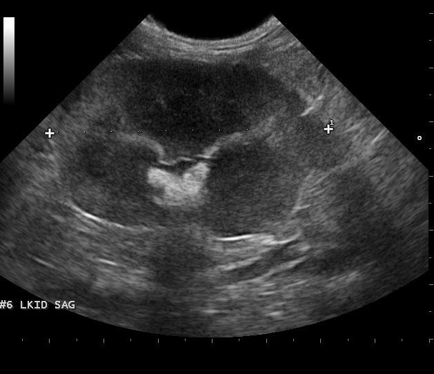 jack_thomson_20150505101031_1035540