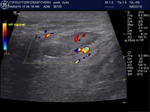 inguinal hematoma post neuter?
