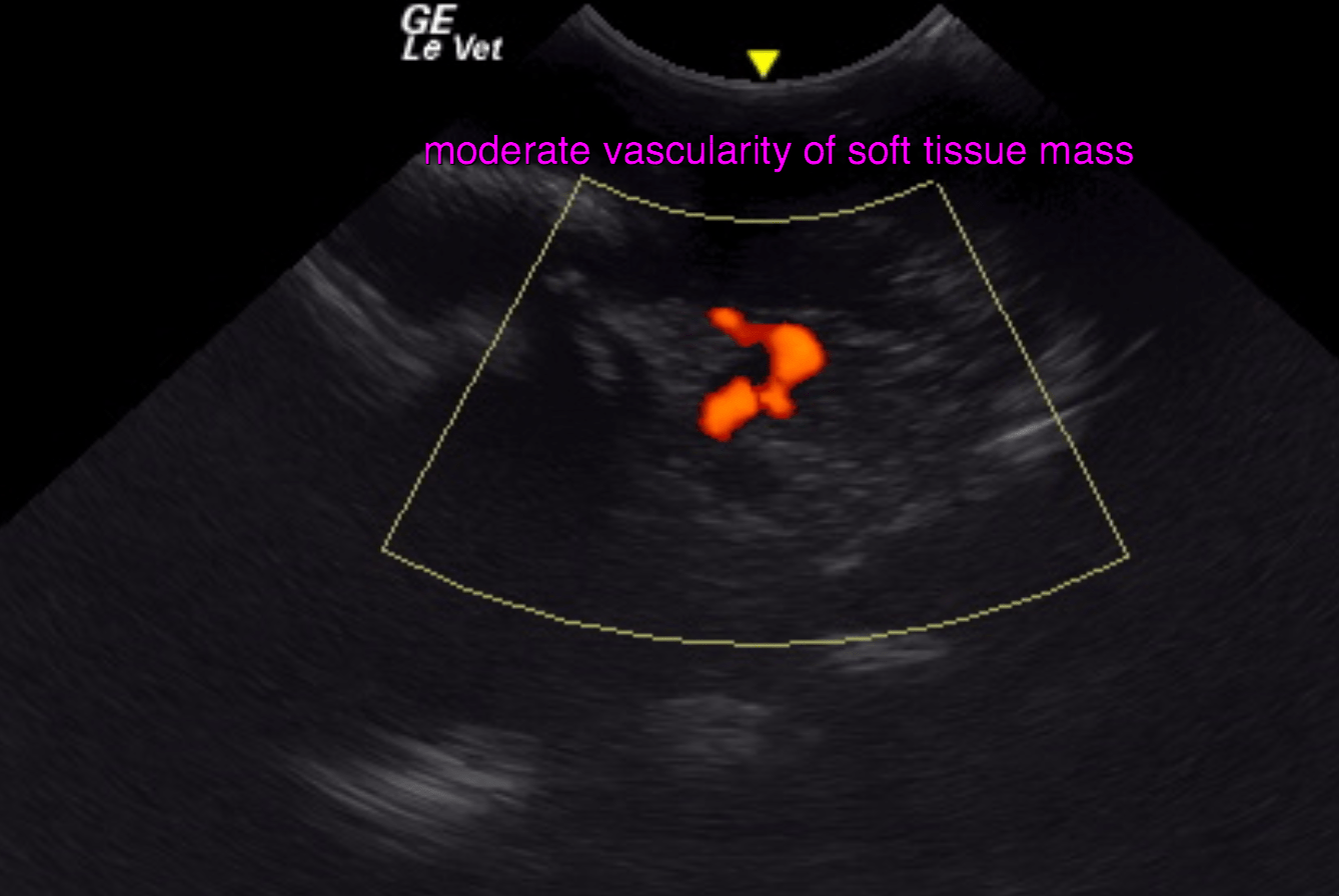 bildschirmfoto_2016-07-21_um_15