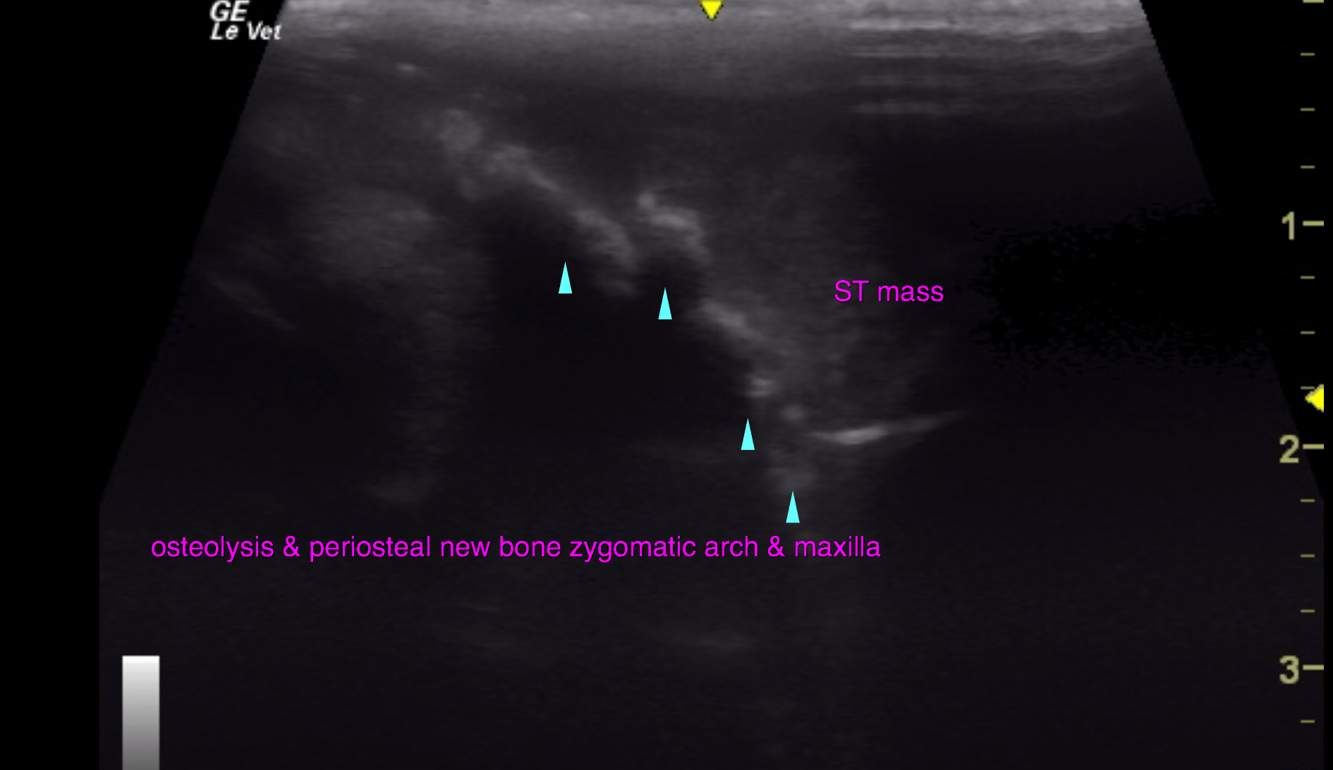 bildschirmfoto_2016-07-21_um_15