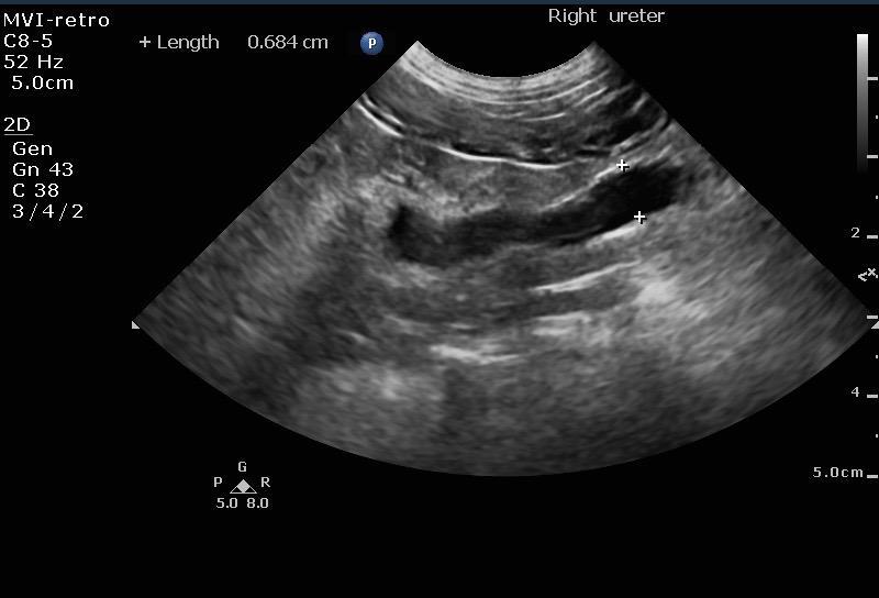 062316_rb_planetpet_byrket_20160623_123627_0026