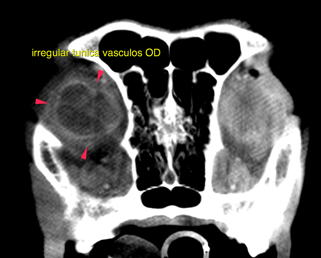 bildschirmfoto_2016-08-30_um_09
