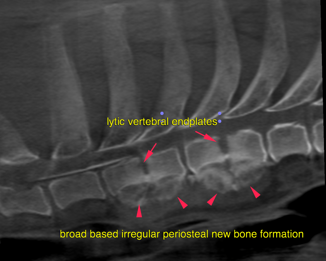 bildschirmfoto_2016-08-30_um_11