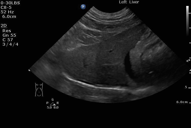 060616_dq_allcreatures_quattrocchi_20160606_151936_0012