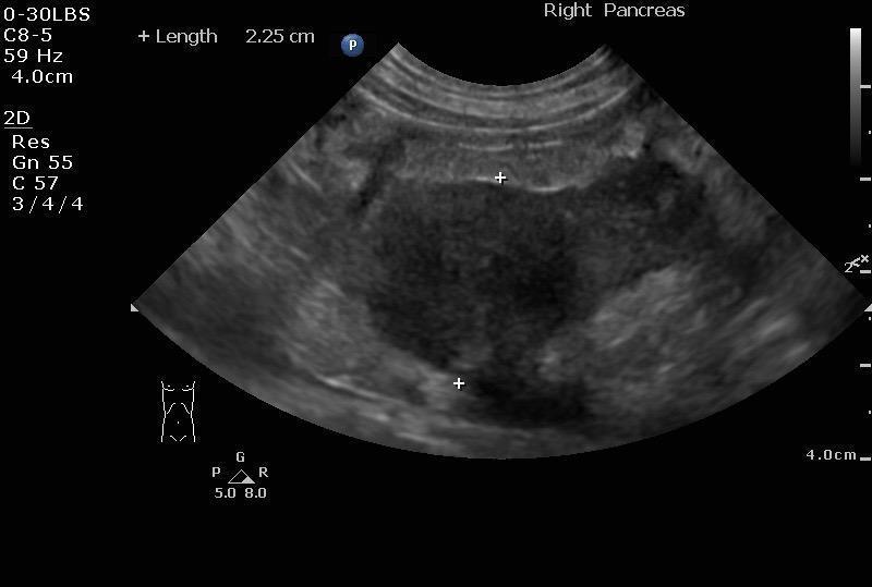 060616_dq_allcreatures_quattrocchi_20160606_151936_0017