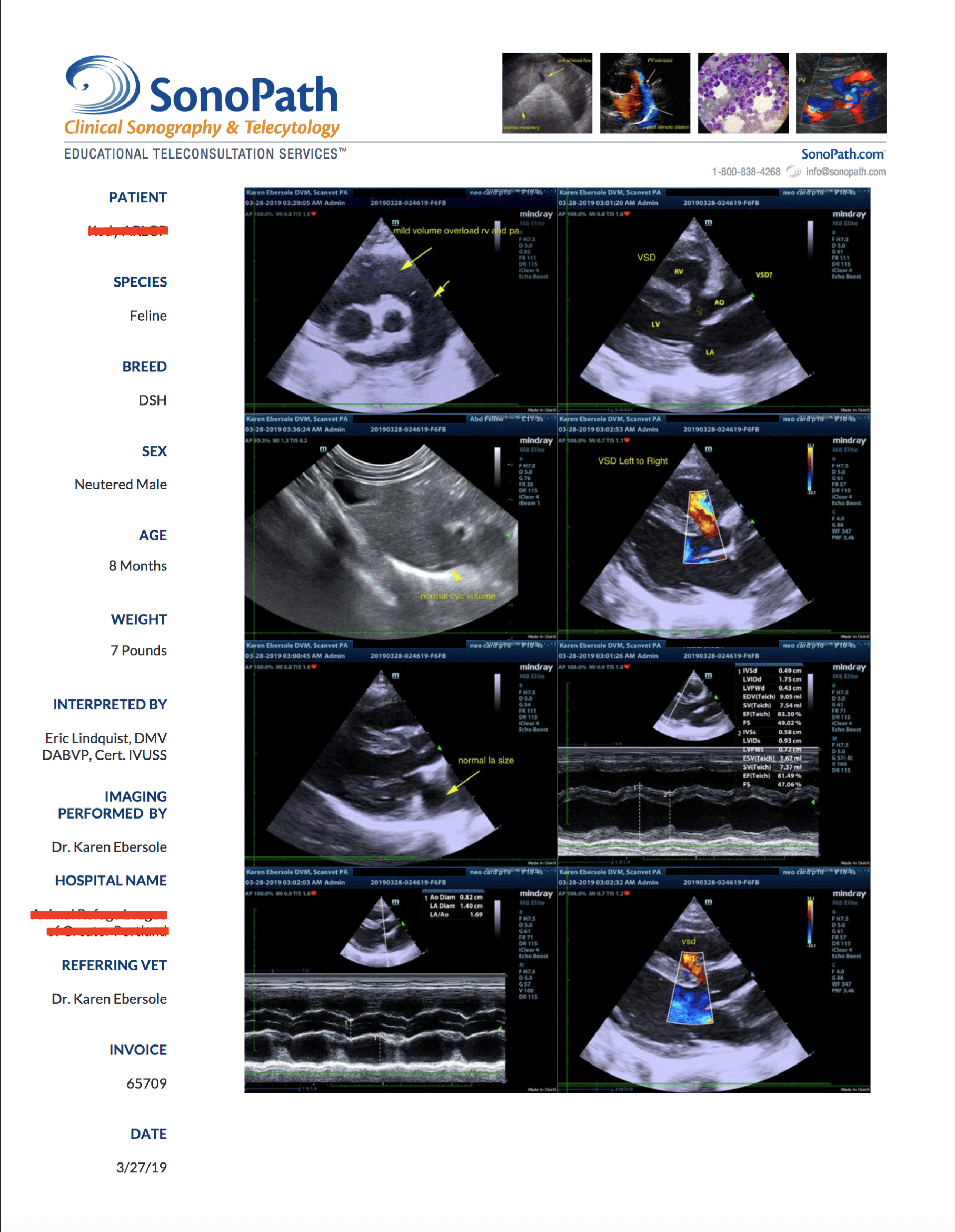 kody_arlgp_report_page_2_screen_shot_2019-04-02_at_5
