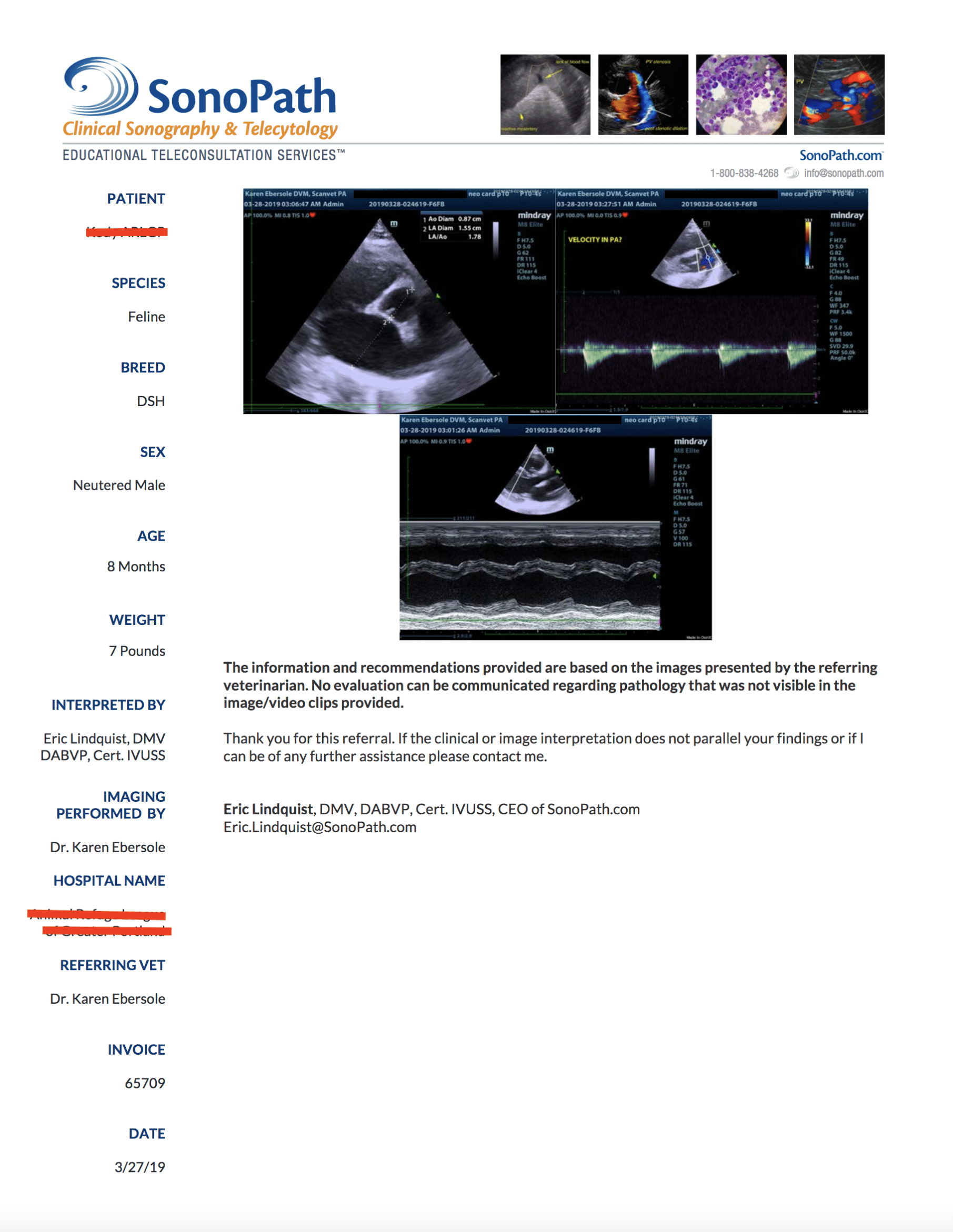 page_3_kogy_arlgp_screen_shot_2019-04-02_at_5